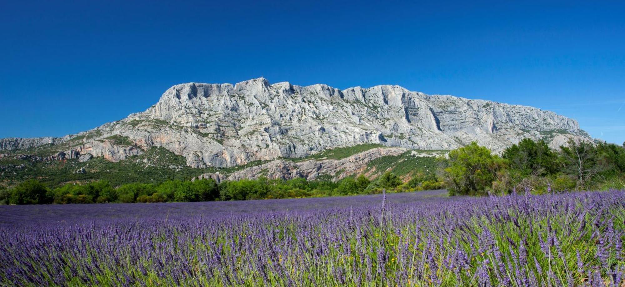Cafi - Sud Passion * Calme * Linge Hotelier * Fibre * Marseille Eksteriør bilde